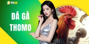 Đá Gà Thomo - Những Trận Đấu Nảy Lửa, Gay Cấn Từng Giây 2026