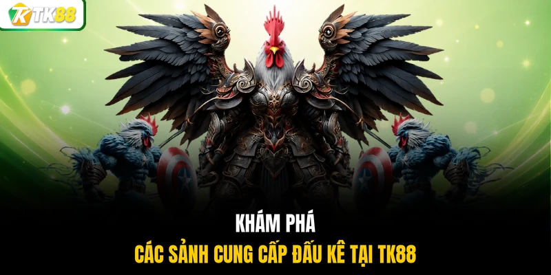 Khám phá các sảnh cung cấp đấu kê tại TK88