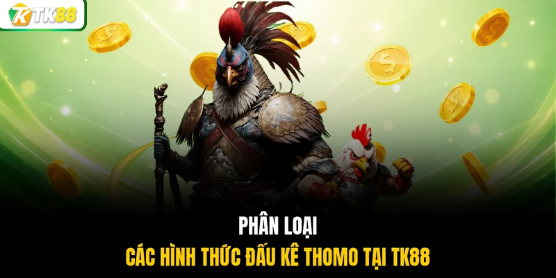 Phân loại các hình thức đấu kê thomo tại TK88